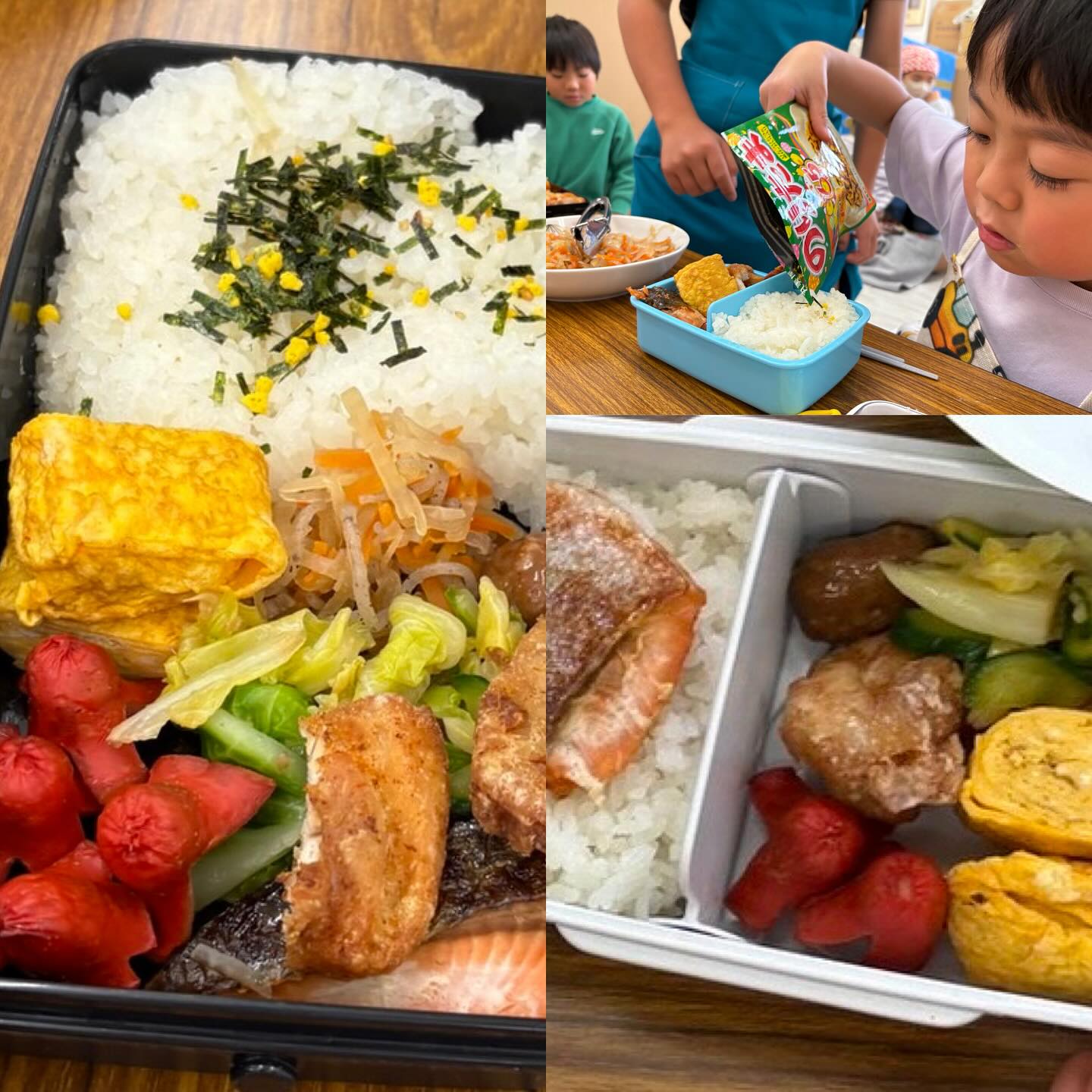 今日のわかば