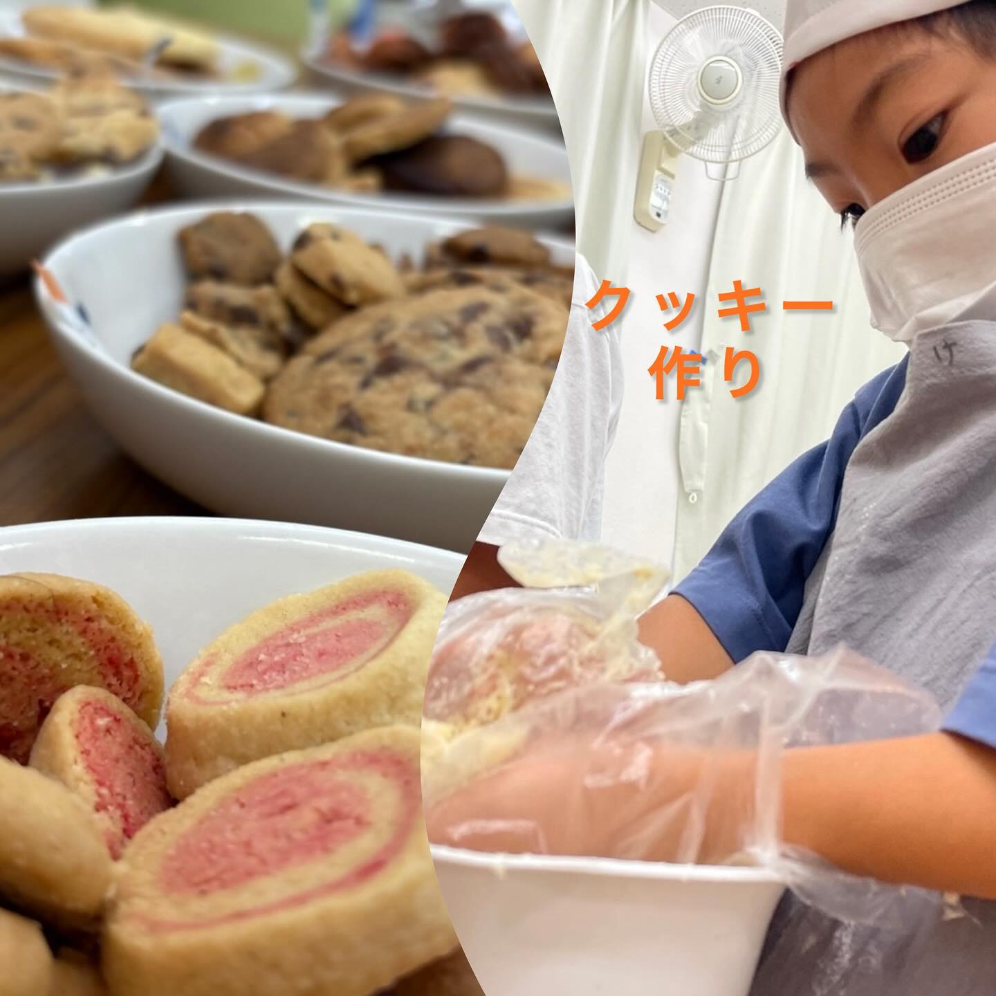 今日のわかば